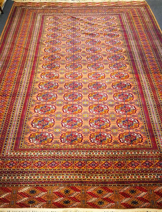 A Tekke carpet 290 x 217cm